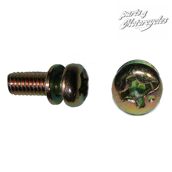 Vergaser Schraube 3x8 brüniert