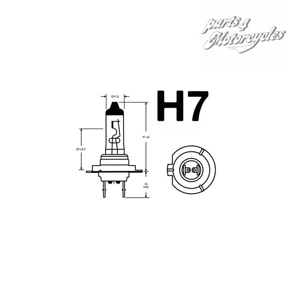 H7 Glühbirne PX26D 12V55W
